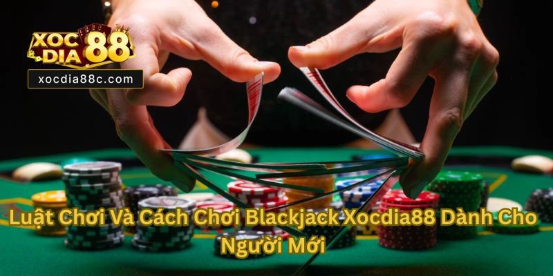 Blackjack Xocdia88