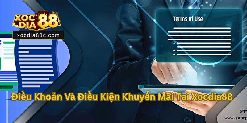 Điều Khoản Và Điều Kiện