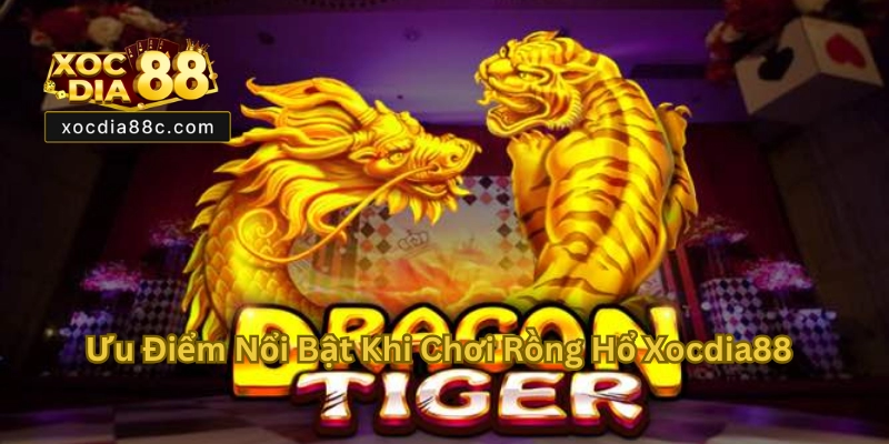 Rồng Hổ