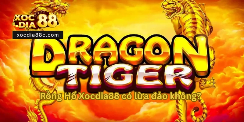 Rồng Hổ