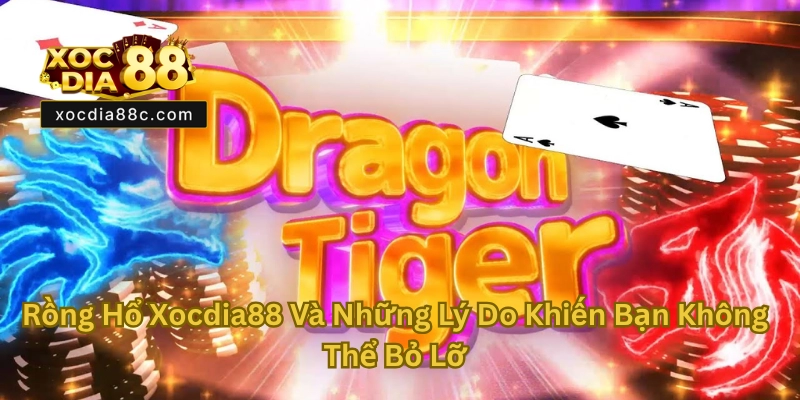 Rồng Hổ